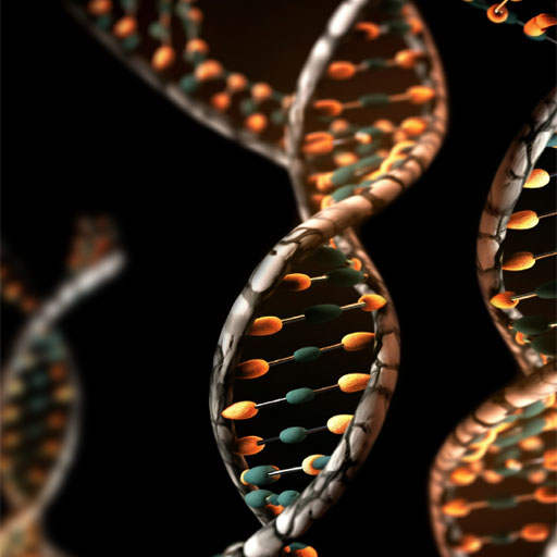 ظرفيت دانشگاه‌هاي پذيرنده رشته ژنتیک پزشکی در سال ١٤٠٤